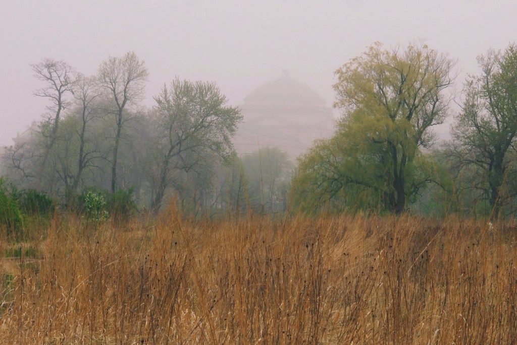 Processed with VSCOcam with c3 preset