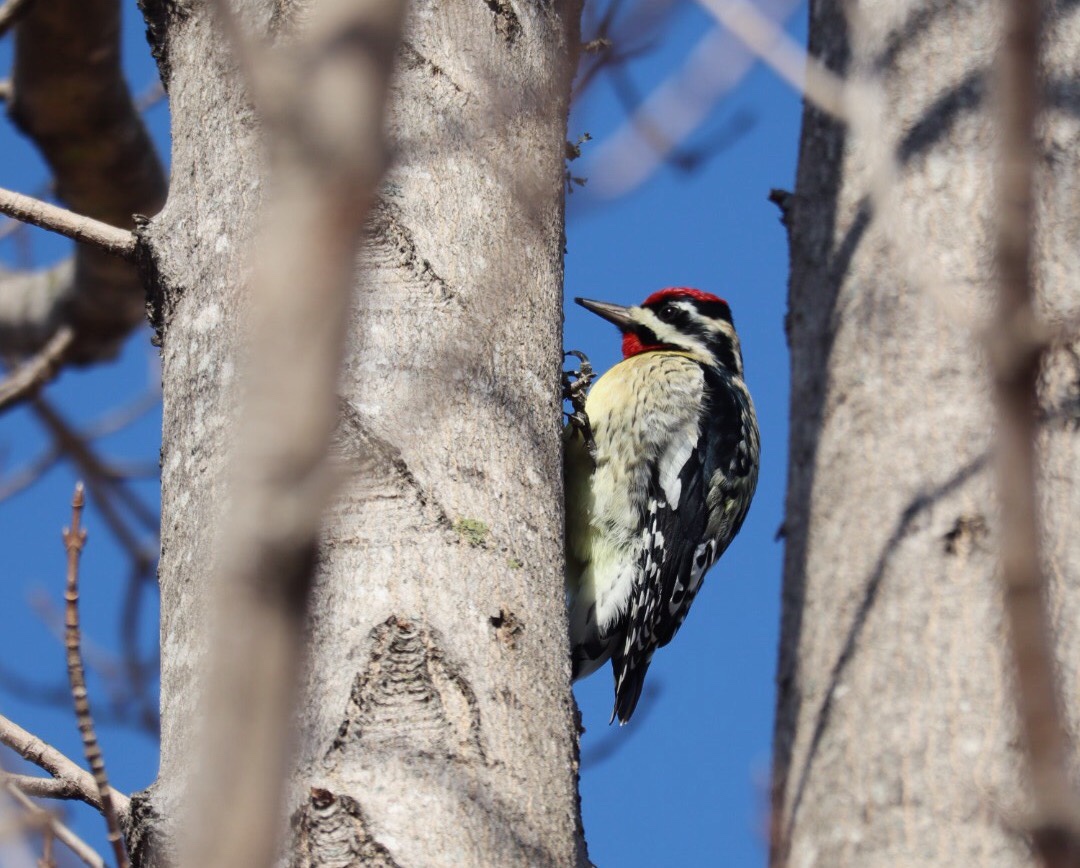 Processed with VSCO with c2 preset